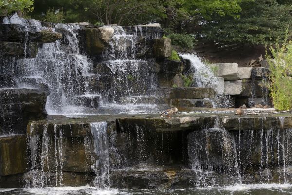 Garden Fountain Installation - Garden Fountain Installation Doylestown, Pennsylvania